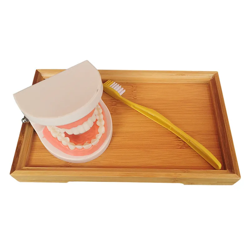 Монтессори малыша зубная игрушка практичный жизнь смоделированные Материал