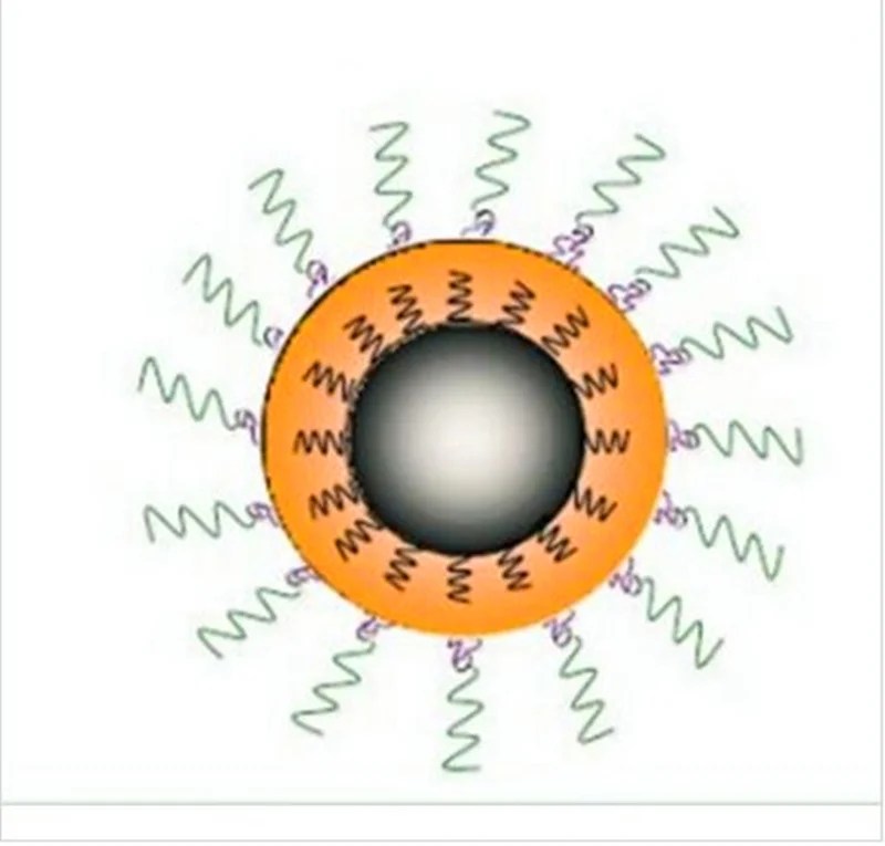 

PEG modified Mn-Zn Ferrite Nanoparticles（Carboxyl terminal）