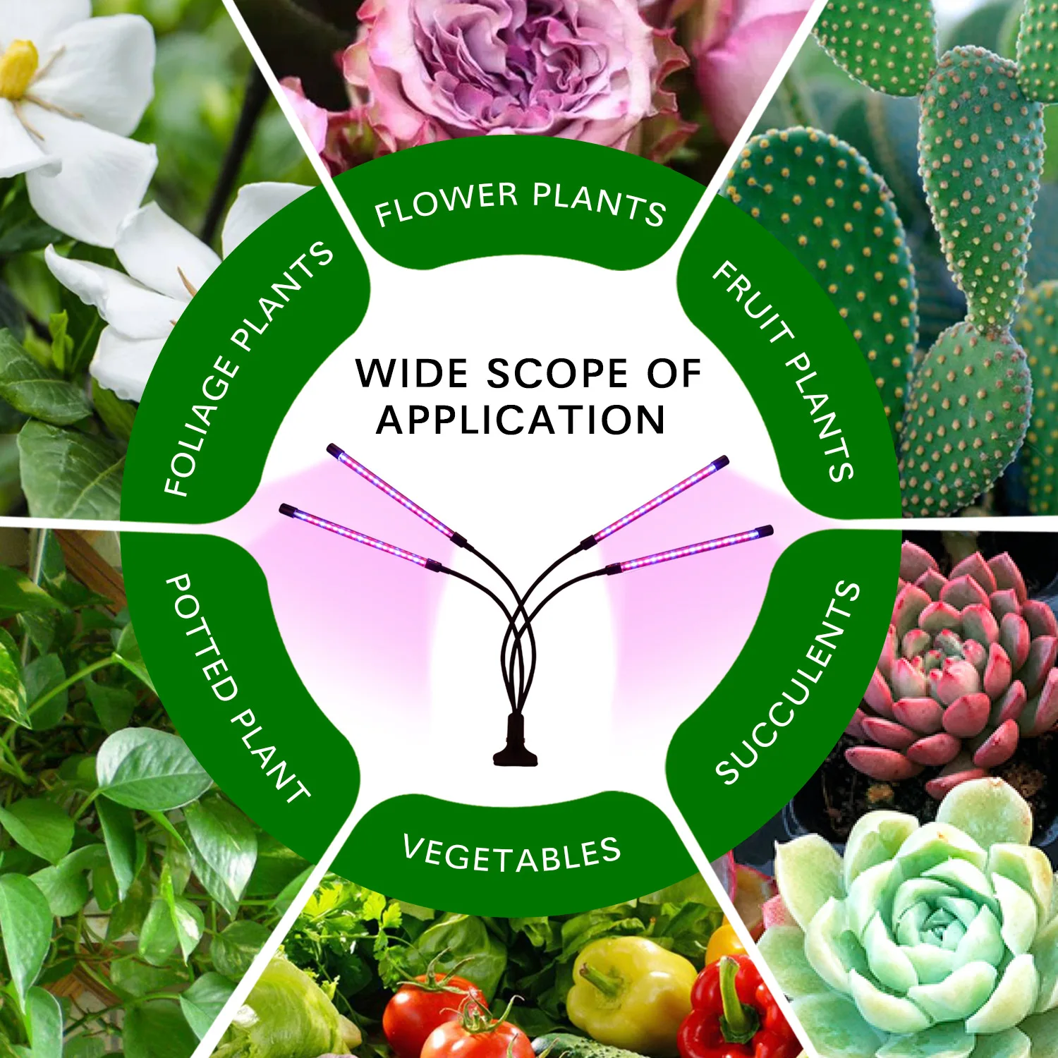

Plant Lambs Grow Light USB Phyto Lamp Full Spectrum Fitolamp With Control Phytolamp For Plants Seedlings Flower Home Phytotape