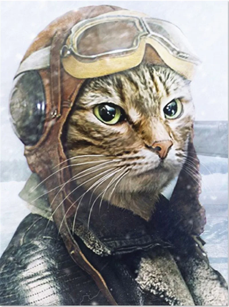 Вышивка Шитье Сделай Сам наборы Холст Картина Авиатор кошка картина 40x50 см