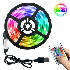 led strip lights rgb 2835 usb 5v infrared remote controller ribbon lamp festival party bedroom tv computer backlight decoration free global shipping