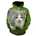 Толстовка МужскаяЖенская, 2021, с длинным рукавом и 3D принтом двух кошек, пуловер, топы, пуловер с рисунком животного