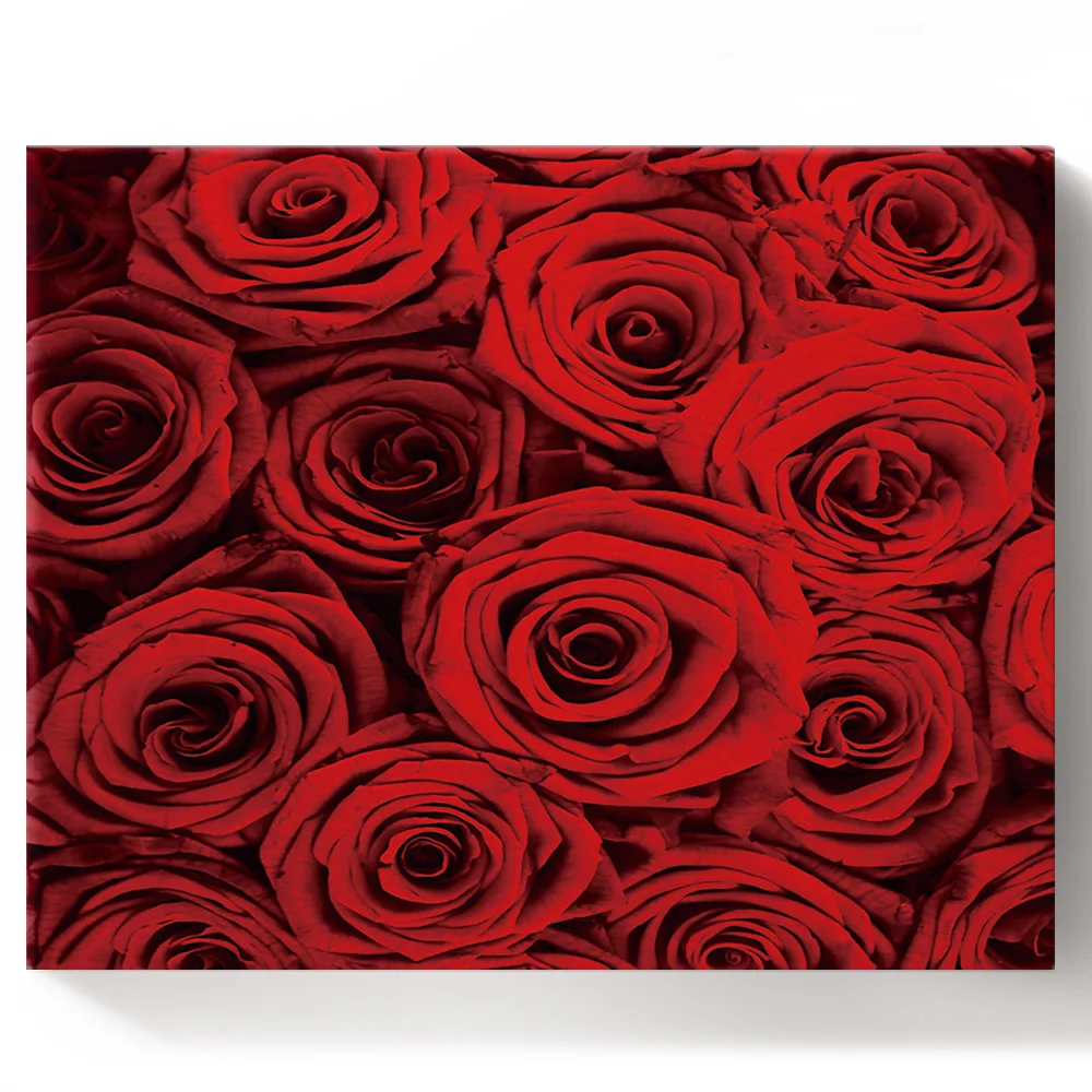 Рамка DIY живопись по номерам красная роза роматическая Настенная картина