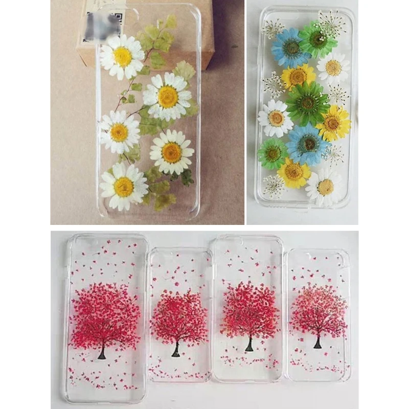 

100Pcs Real Natural Dried Pressed Flowers White Daisy Pressed Flower for Resin Jewelry Nail Stickers Makeup Art Crafts