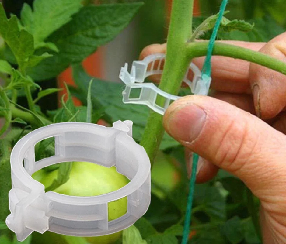 

50pcs Plastic Plant Clips Supports Connects Reusable Protection Grafting Fixing Tool Gardening Supplies for Vegetable Tomato
