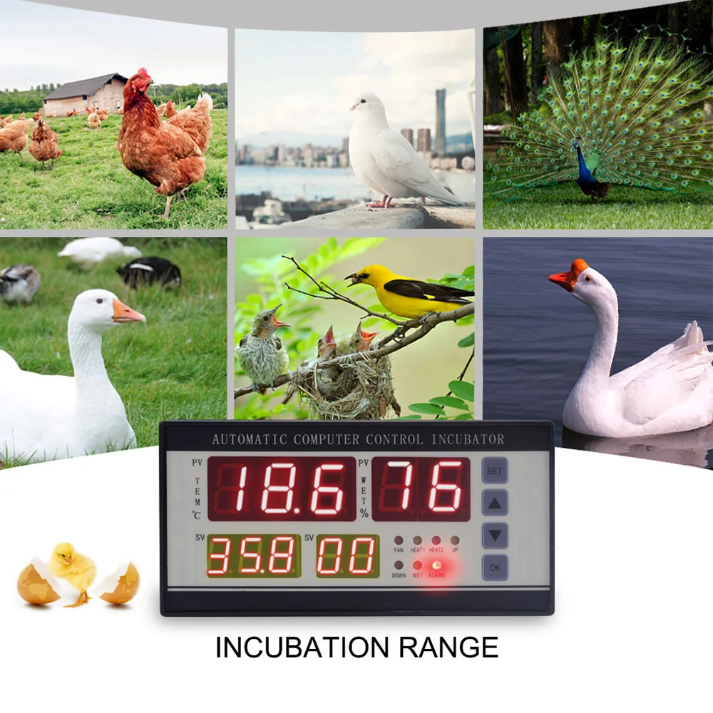 

Digital Automatic Egg Incubator Controller Egg Brooder Poultry Incubator Temperature And Humidity For Egg Hatcher System