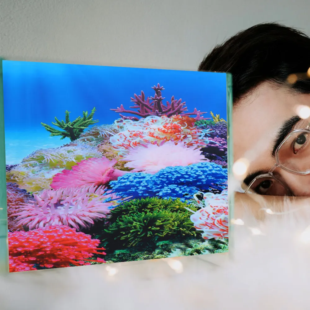 

30x42cm Three-dimensional Scenery Sticker Double Side Glass Decal Background Decoration Accessories for Fish Tank Aquarium (Styl