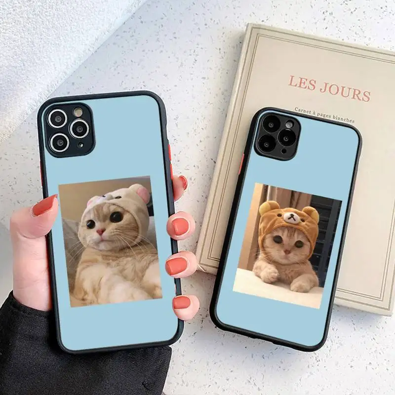 

Cute Cat Phone Case For iphone 12 11 8 7 plus mini x xs xr pro max matte transparent cover
