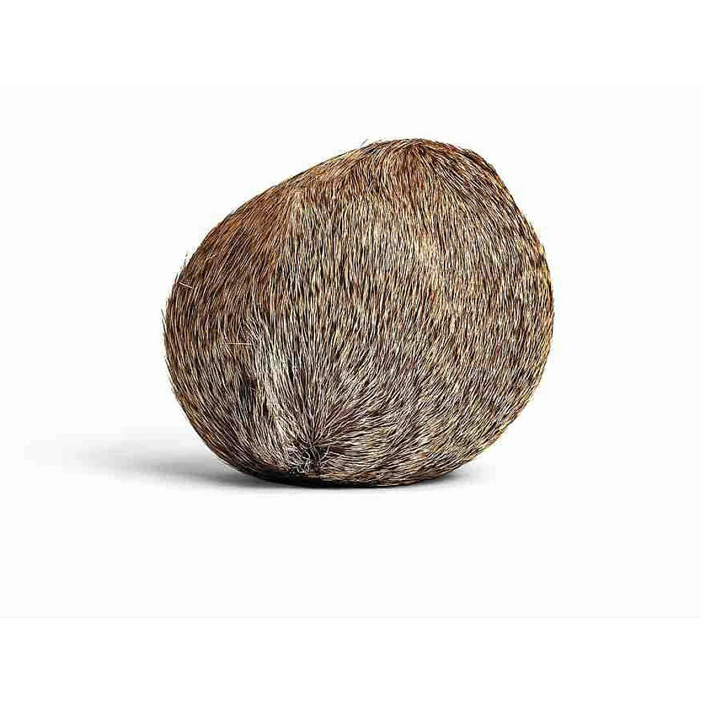 Эфирное масло мускусного масла от известного бренда oroaroma бесплатная доставка