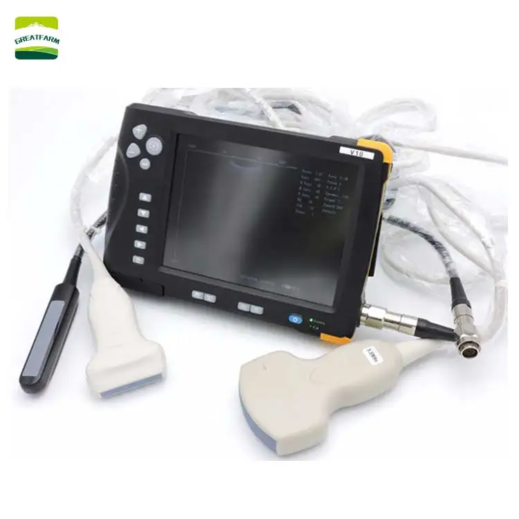 

High-definition visual animal ultrasonic B-ultrasonic detection for cattle,cow horses, sheep, pigs and dog pet