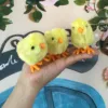 Изображение товара 5