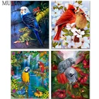 Искусственная вышивка, животное, попугай, полный 3D Забавный Алмазный рисунок, картина, Декор для дома, фреска