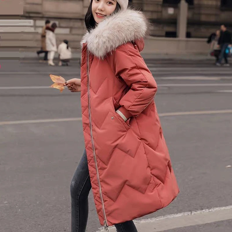 Новое поступление корейская мода женская зимняя куртка с хлопковой подкладкой