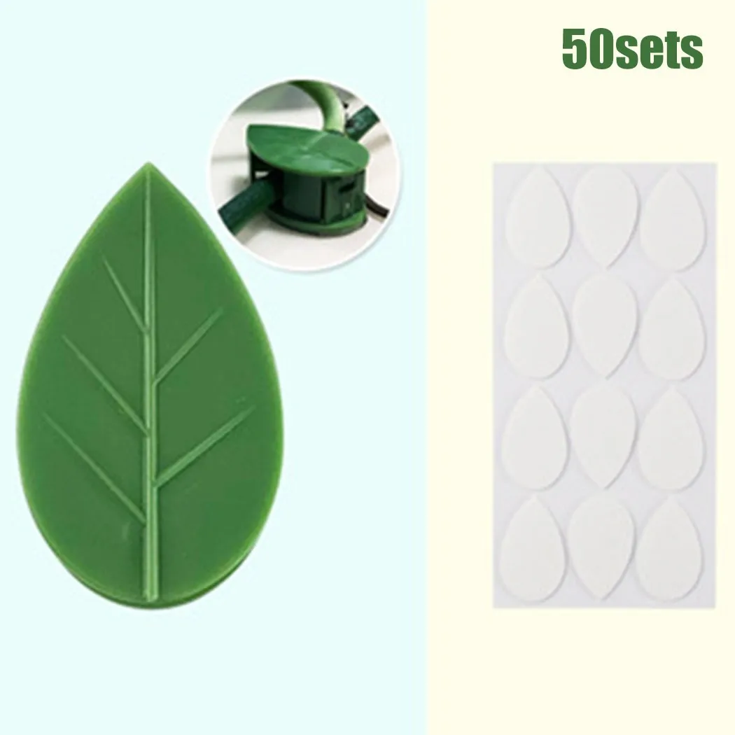 

Transparent Vines Fixtures Vines Fixing Clip Wall 1 Sets 50PCS Climbing