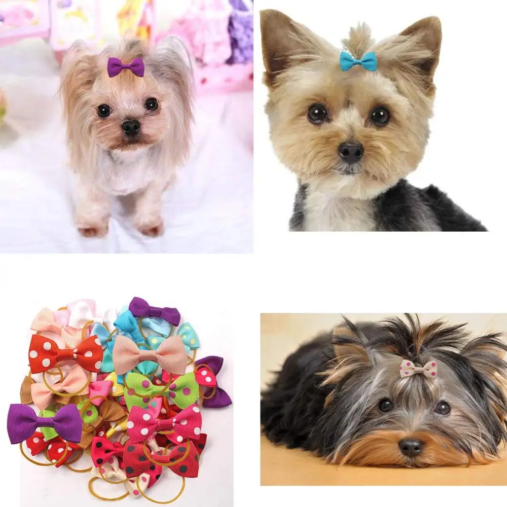 Банты для собак с резинками 100 шт. товары захвата домашних животных аксессуары