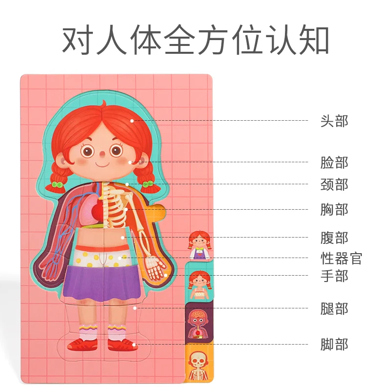 1 шт. игрушка-пазл в виде бумажного тела | Игрушки и хобби