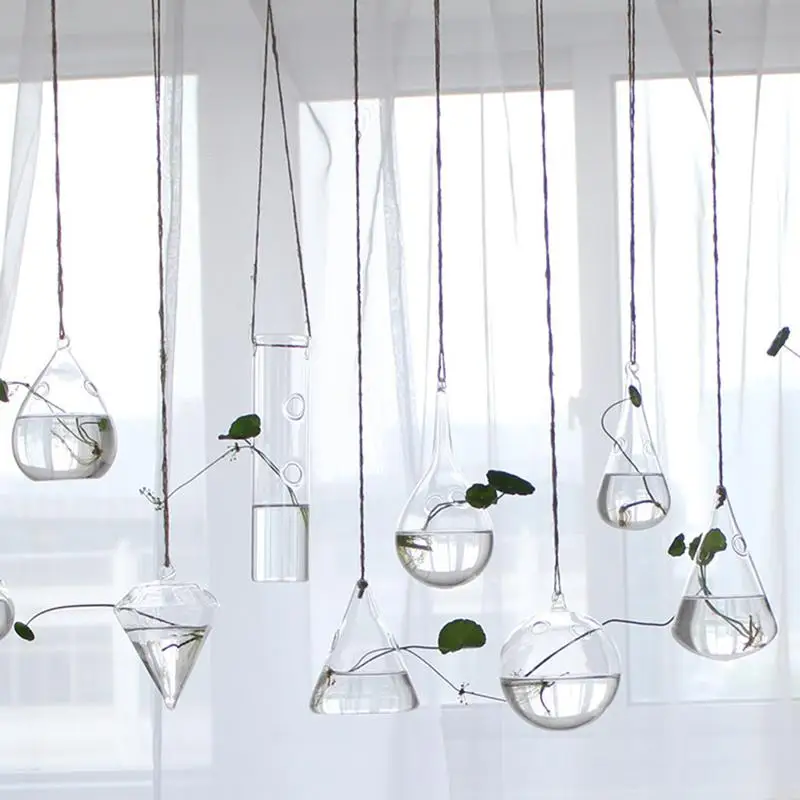 HobbyLane Hanging Transparent Glass Globe Plant Terrariums Succulents Moss Miniature Garden Planters Home Decor Gifts |