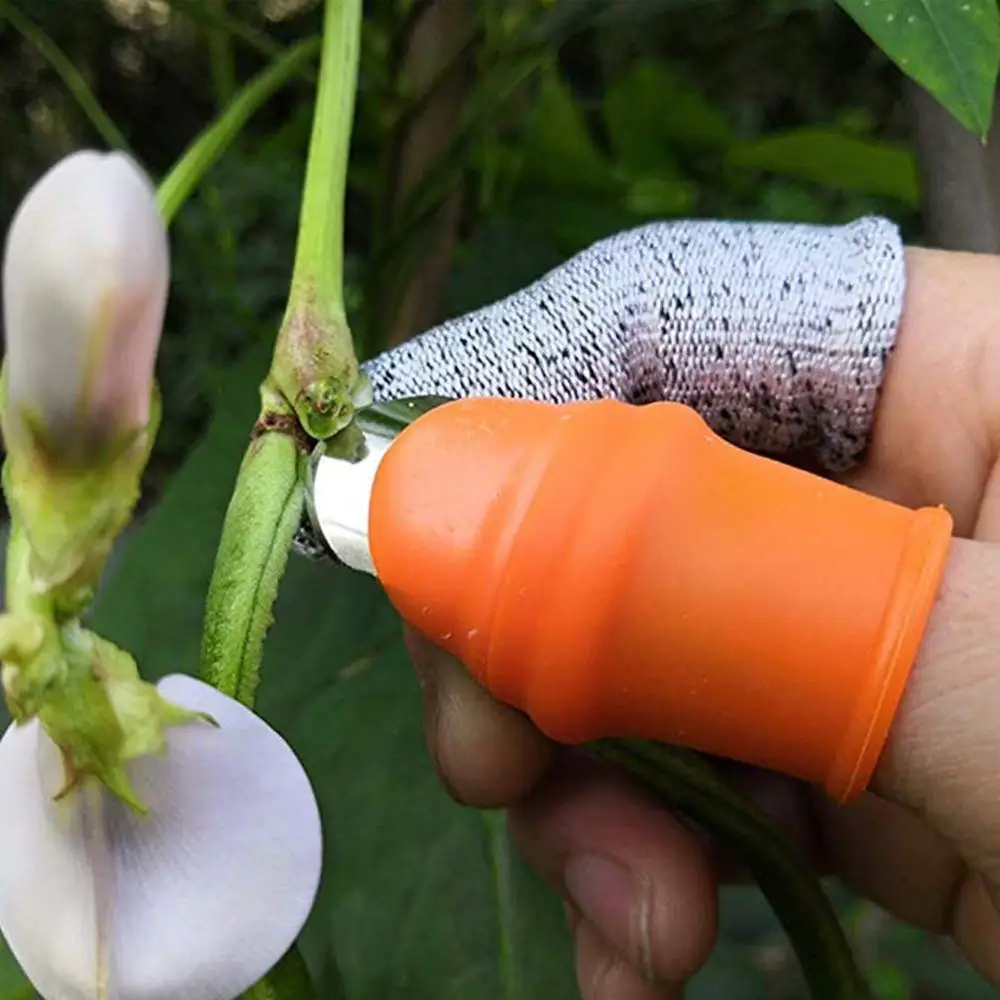 Устройство для выщипывания 1 шт. нож большого пальца резки овощей