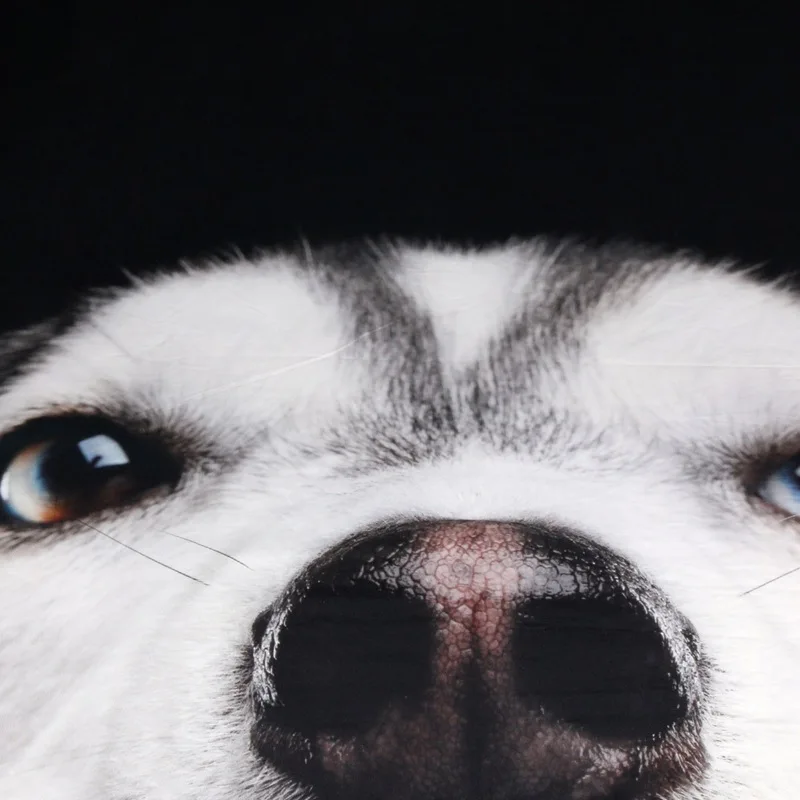 Пододеяльник с рисунком Сибирского хаски и 2 наволочками модный Комплект