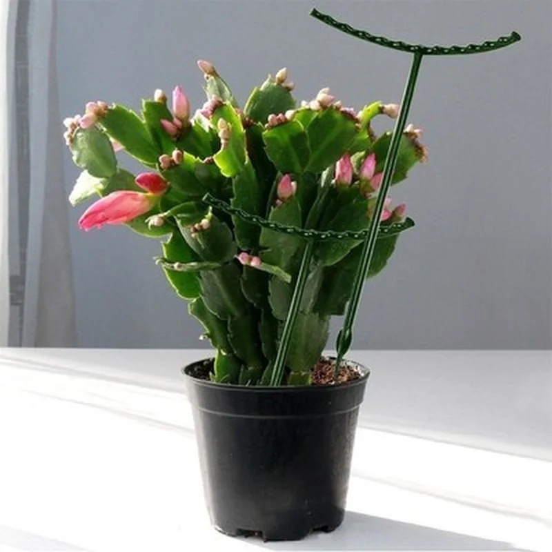 

2pc Plastic Plant Support Pile Stand for Flowers Semicircle Greenhouses Arrangement Fixing Rod Holder Orchard Garden Bonsai Tool