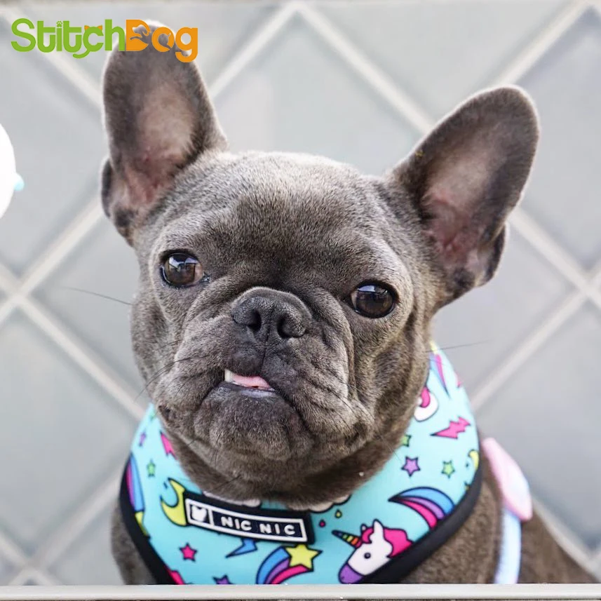 French Bulldog Harness Printed English Frenchie Reversible Puppy Small Dogs Vest for Pug Walking Training | Дом и сад