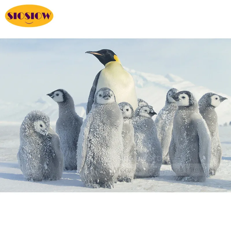 5d алмазная живопись полная выкладка Круглый Пингвин вышивка животные иконы