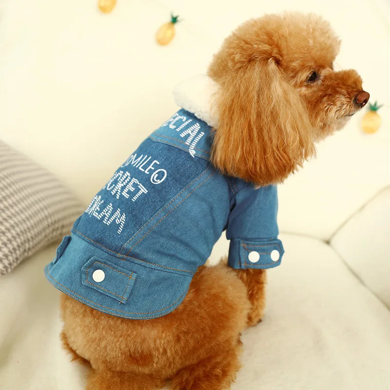 Теплая джинсовая куртка для собак Одежда животных модное зимнее Синее джинсовое