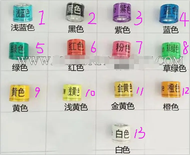 Покупатель обычай голубь ножной кольцо &quot2021 + код страны номер&quot 10 цветов для