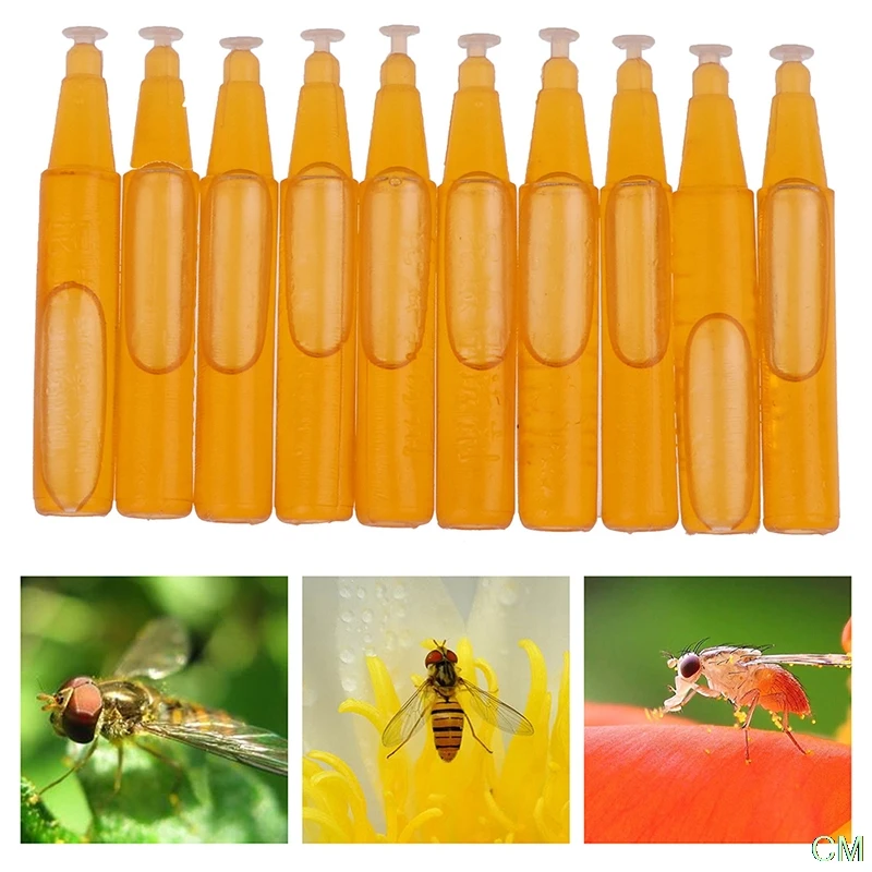 

10Pcs/Bag Fruit Fly Attractant 2ml Trap Bait Beekeeping Beehive Tool Killer Swarm Trapping Tool Liquid with 2 Type