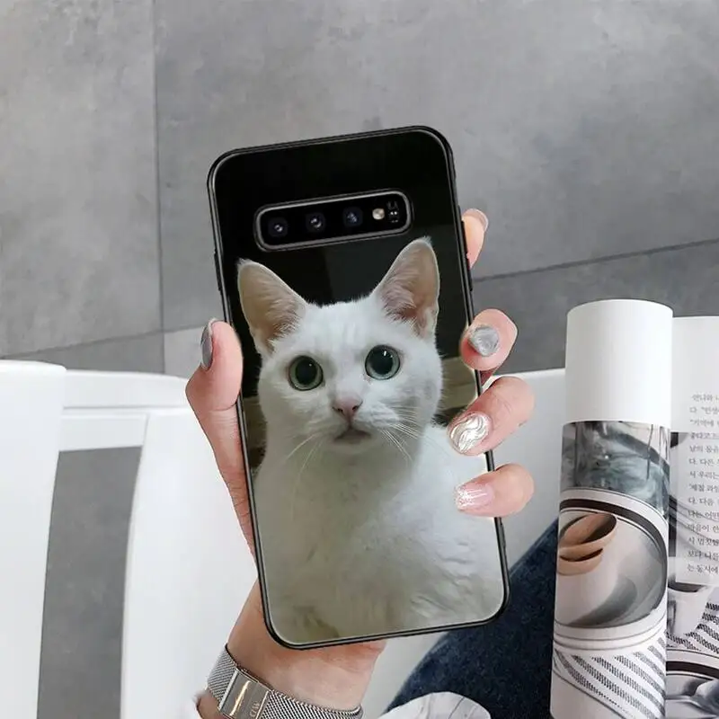 

squishy lovely cat Phone Case For Samsung Galaxy S5 S6 S7 S8 S9 S10 S10e S20 edge plus lite