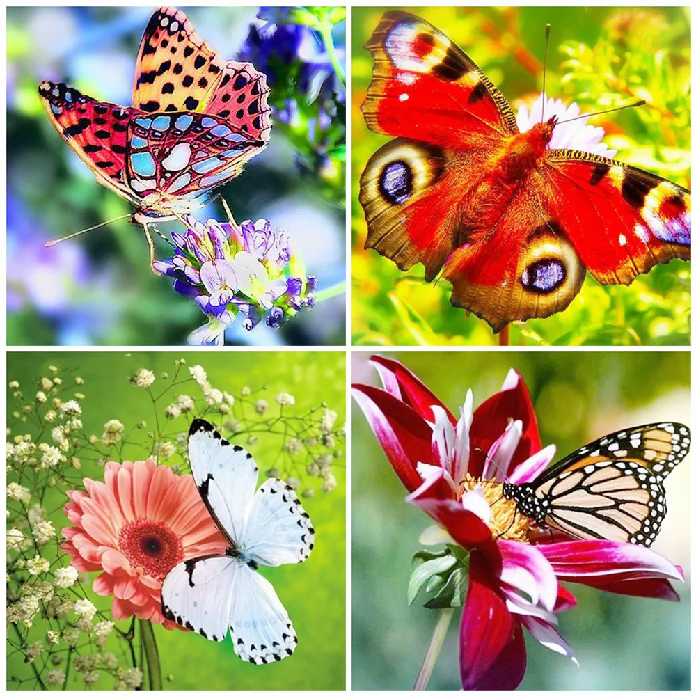 

MOONCRESIN 5D Diamond Painting Butterfly Full Square Diamond Art Embroidery Animal Sale Home Decoration Gift