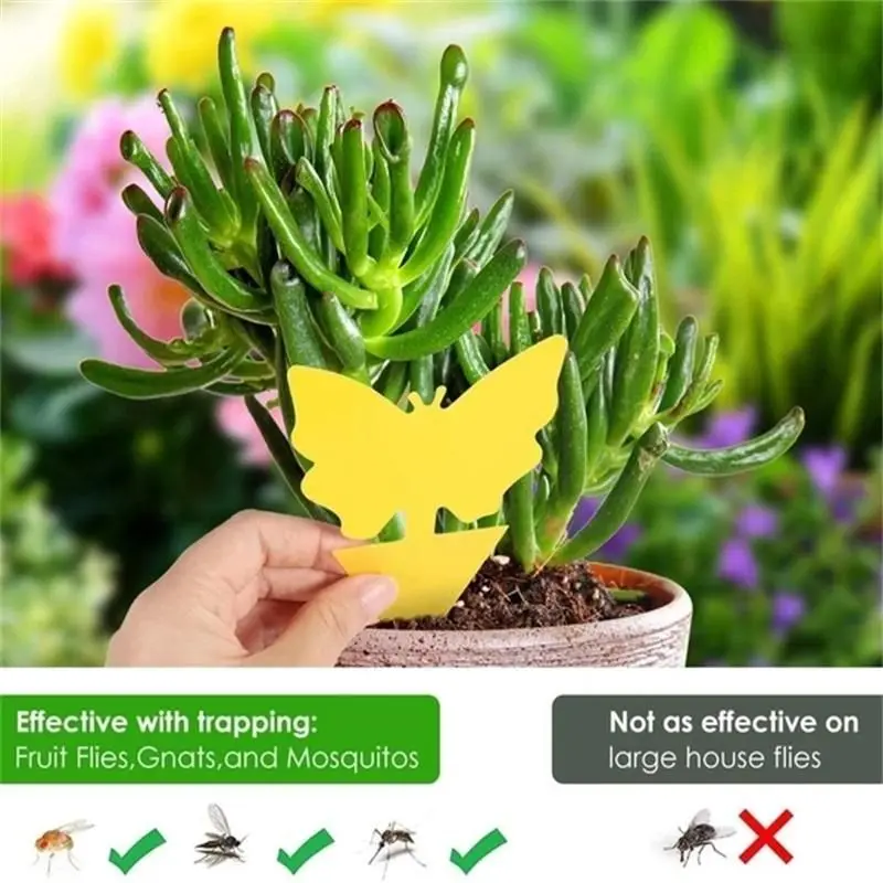 Клейкая доска для насекомых в виде бабочки цветка фруктов мухи грибка