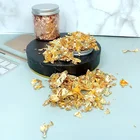 Блестки из имитационной медной фольги, золотистыесеребристые, 3 г