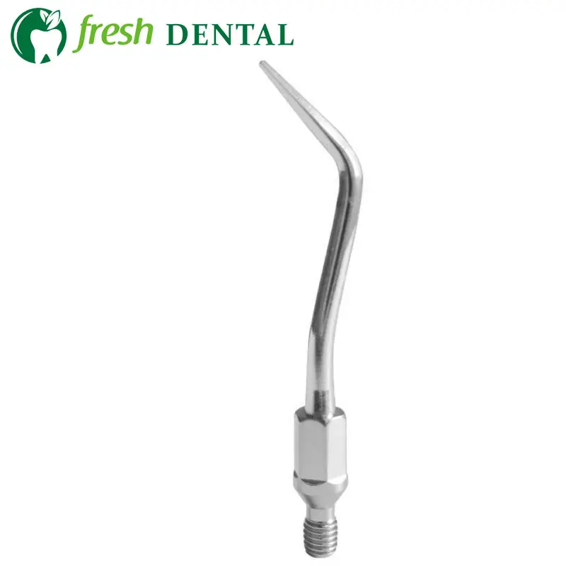 10PCS Dental Scaler Tips N3 Dental Multifunction Scaling Insert Tip N3 Fit NSK Dental Ultrasonic Scaler Tip