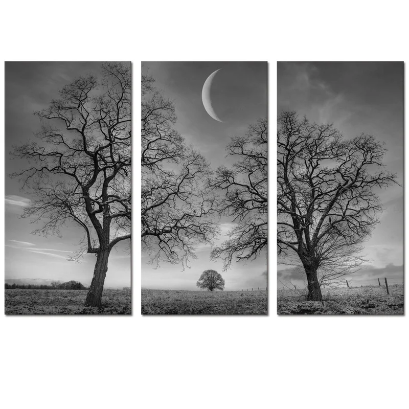 

3 Pieces Trees Under The Moon Wall Art Posters Black and White Scenery Print Canvas Art Modern Style Living Room Home Decor