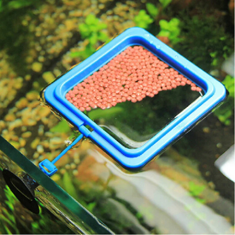 New 1pcs Fish Food Ring Aquarium Tank Small Type Tropical Feeder Feeding Accessories | Дом и сад