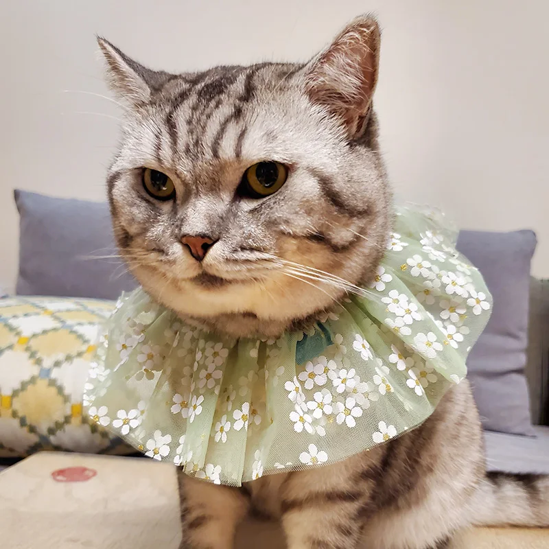 PETCIRCLE одежда с принтом в виде собак красочная пряжа нагрудник подходит маленькая