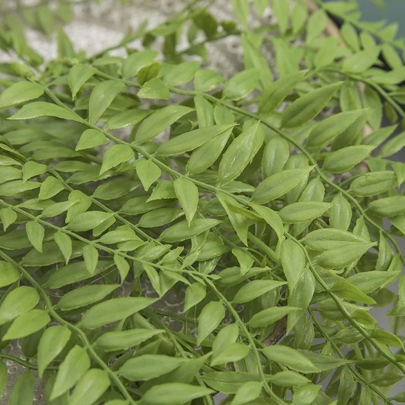 КАПЕЛЬНАЯ трава настенная искусственная зеленая растительность пластиковое