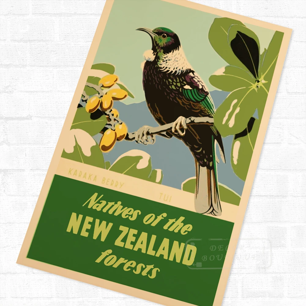 Карака Берри и Tui NZ Птицы Пейзаж из путешествия плакат Винтаж ретро холст картины