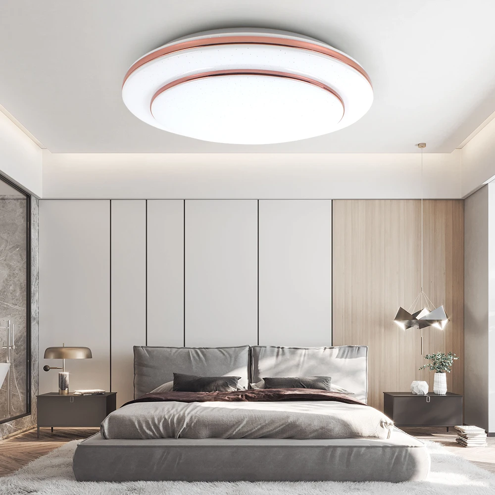 

Modern Flush Mount LED Ceiling Lamps AC220V Bright White Round 24W Surface Fixtures Lights For Bedroom Kitchen Room Livingroom