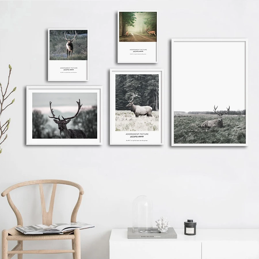 Плакат в скандинавском стиле диких животных фотографии с принтом олень картина