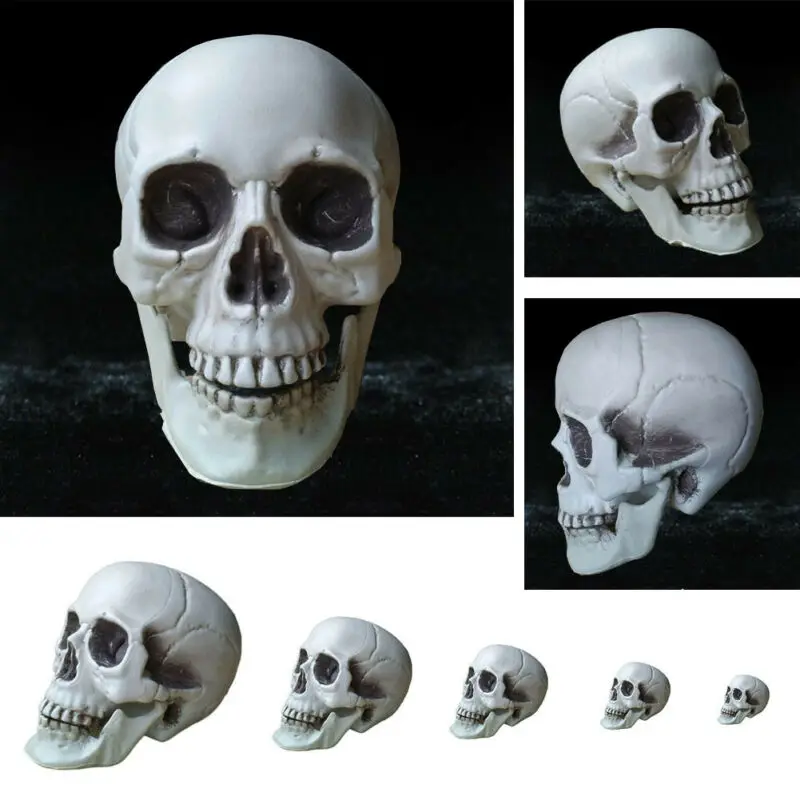 Все Размеры Скелет человеческой головы скелет Хэллоуин Стиль Опора дома