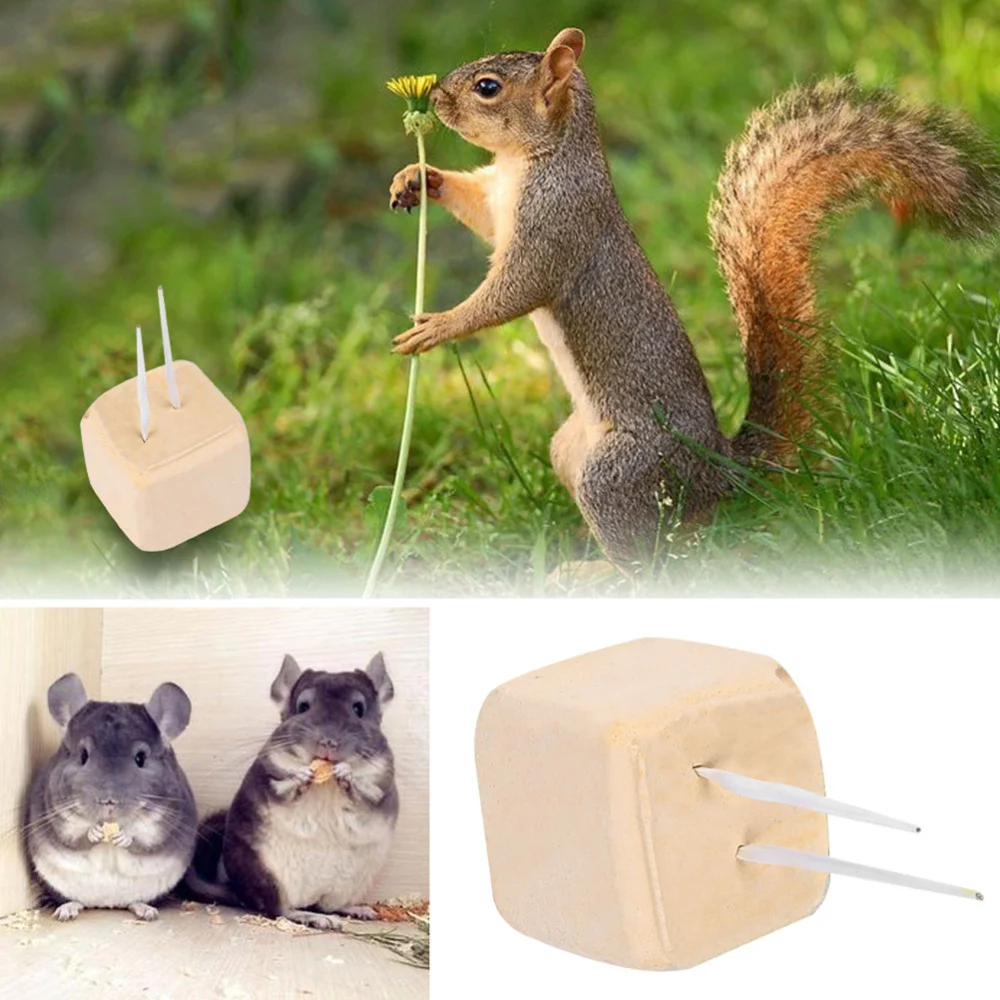 

Mineral Stone Calcium Chew Toy Teeth Grinder For Hamster Rat Chinchilla Rabbit