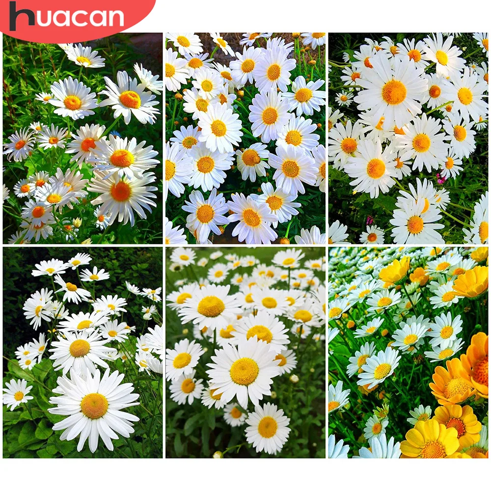 

HUACAN полная квадратная/круглая дрель Алмазная картина Маргаритка 5D DIY Алмазная вышивка цветок мозаика Вышивка крестом 5D домашний Декор пода...