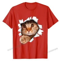 sweet kitten cat torn 3d funny cat lover t shirt summer t shirts tops tees for men fashion cotton casual t shirt