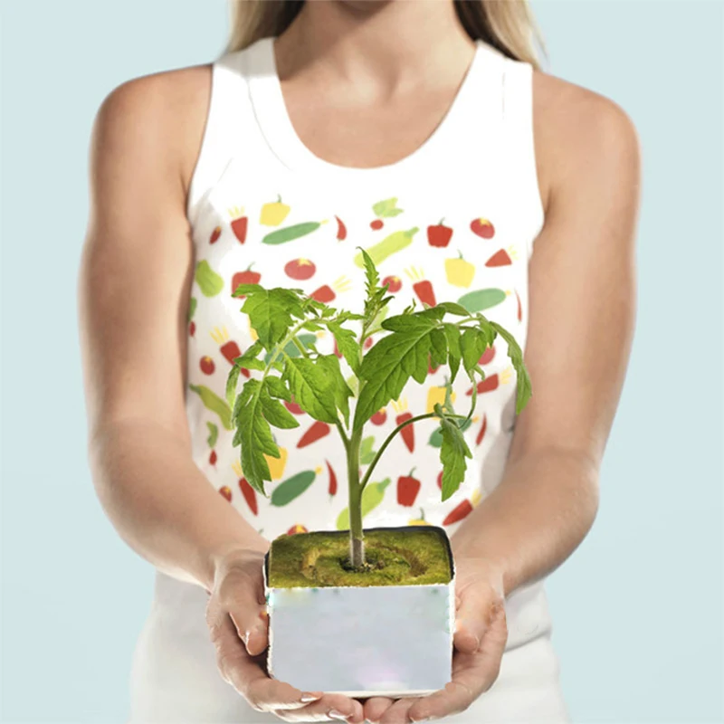 Multifunction Ventilative Practical Planting Soilless Cultivation Rockwool Cubes Hydroponic Grow Mini Blocks Compress Base