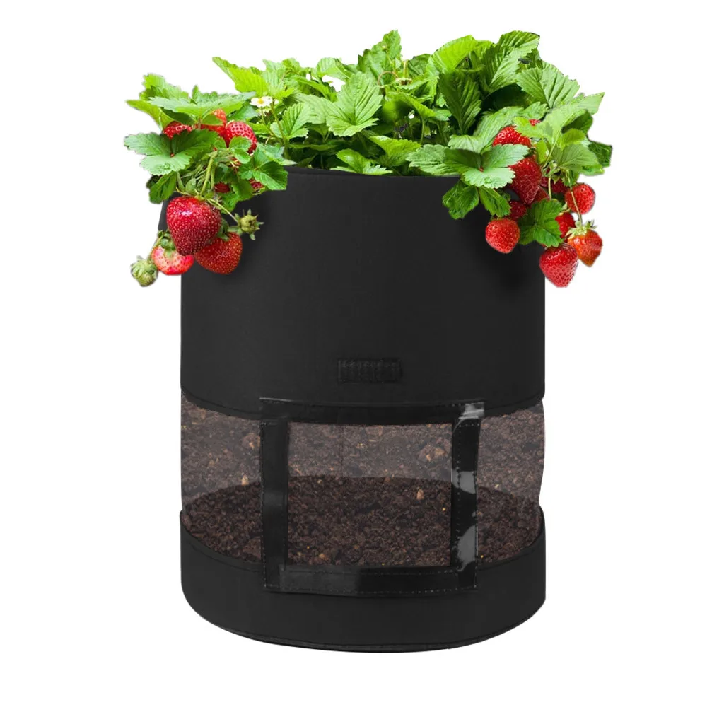 Семейный домашний садовый горшок для выращивания картофеля своими руками