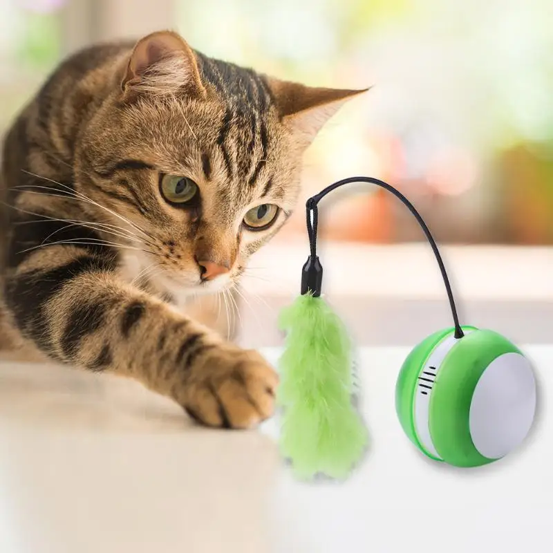 Cat Toy Classic Colors and Simple Durable Design Electric Ball Laser Light Feather Stick Interactive Teasing Pet Supplies | Дом и сад