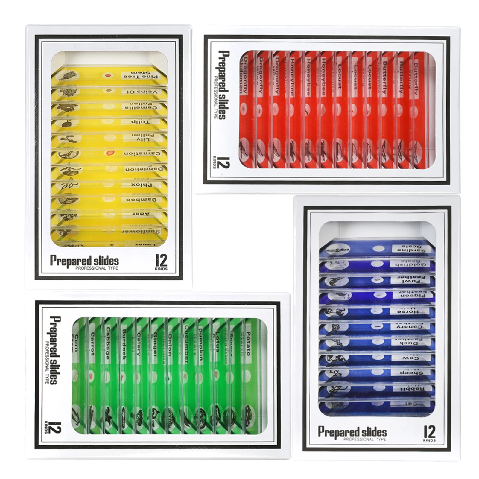 48pcs Plastic Microscope Slides Animals Insects Plants Issue Sample Specimens Set with Color Labels for Kids Students | Инструменты