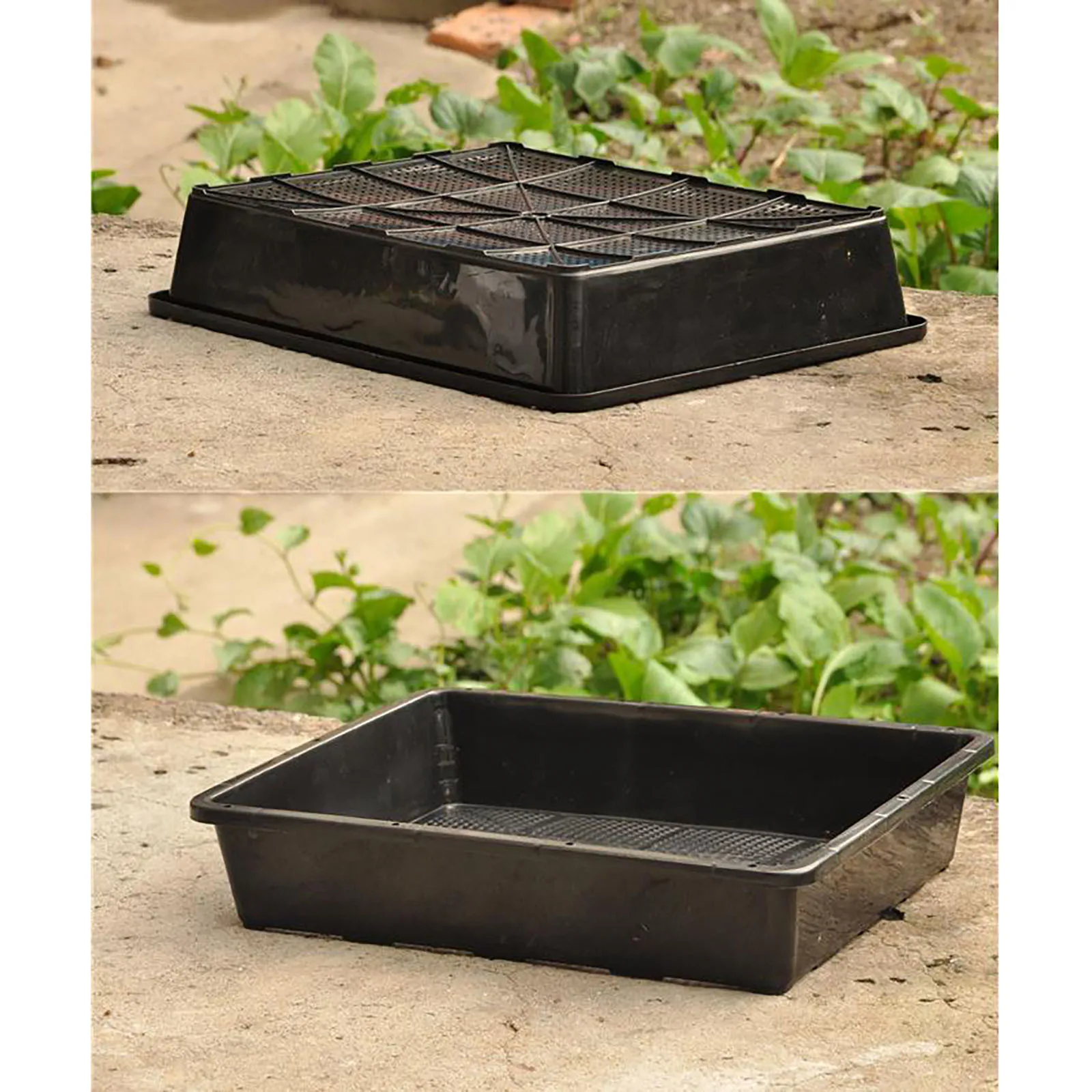 

20 Cells Starter Kit Seed Nursery Pots Set Germination Box Set Multicolour Dome Base Gardening Plastic Mini Breathable Lids